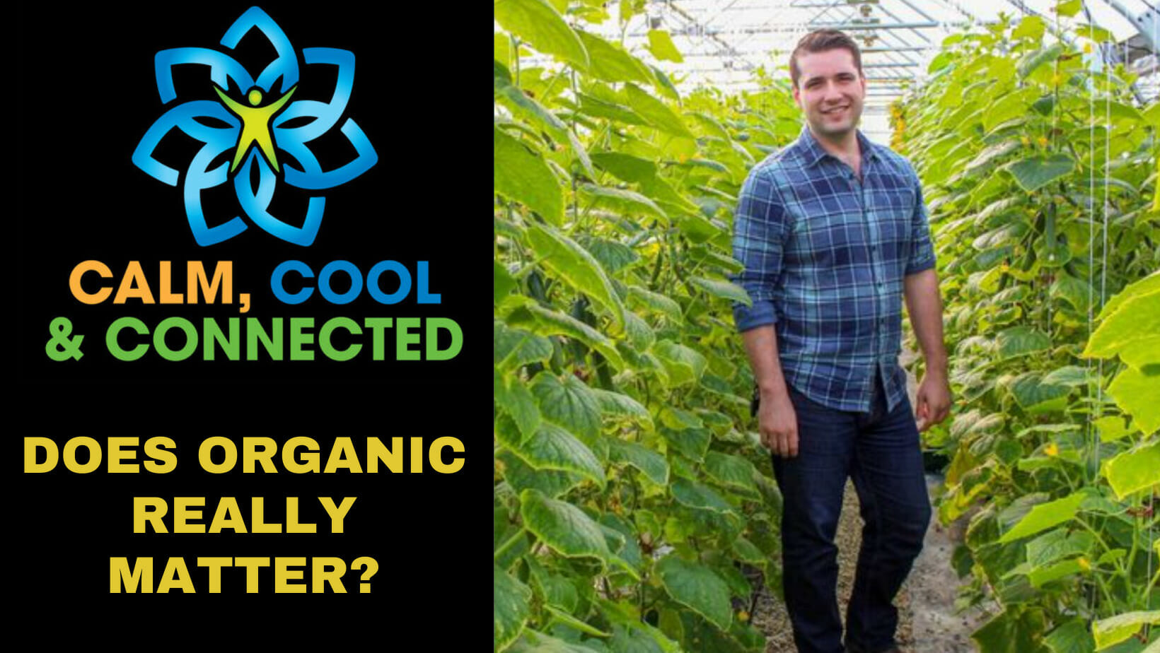 Does Organic Food Really Make That Much of a Difference?