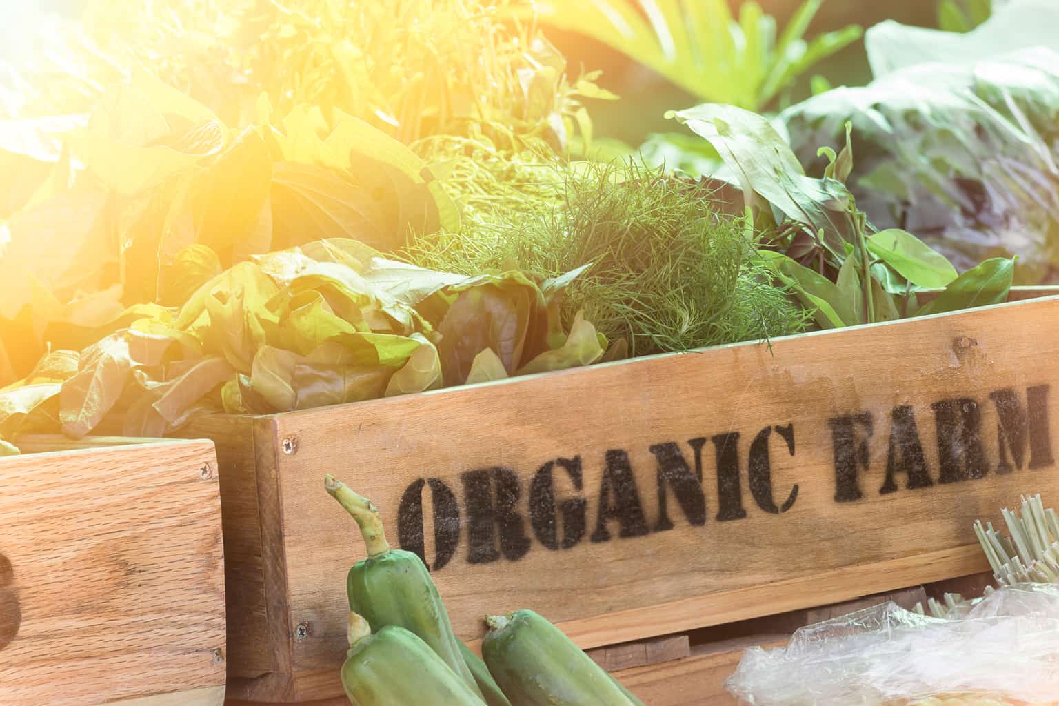 Is the Organic Label as Valuable as You Thought? NYC Food Policy Center