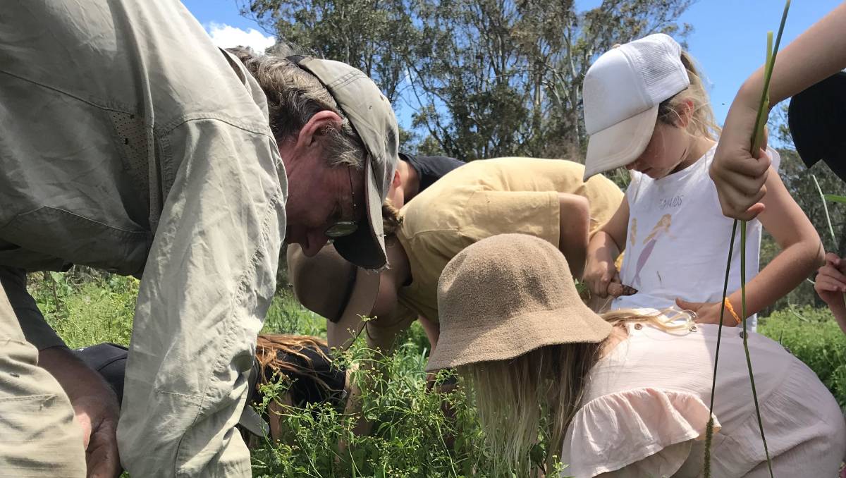 Learn through nature with Homegrown Organics - Masters of Fresh school holiday workshops | Port Macquarie News