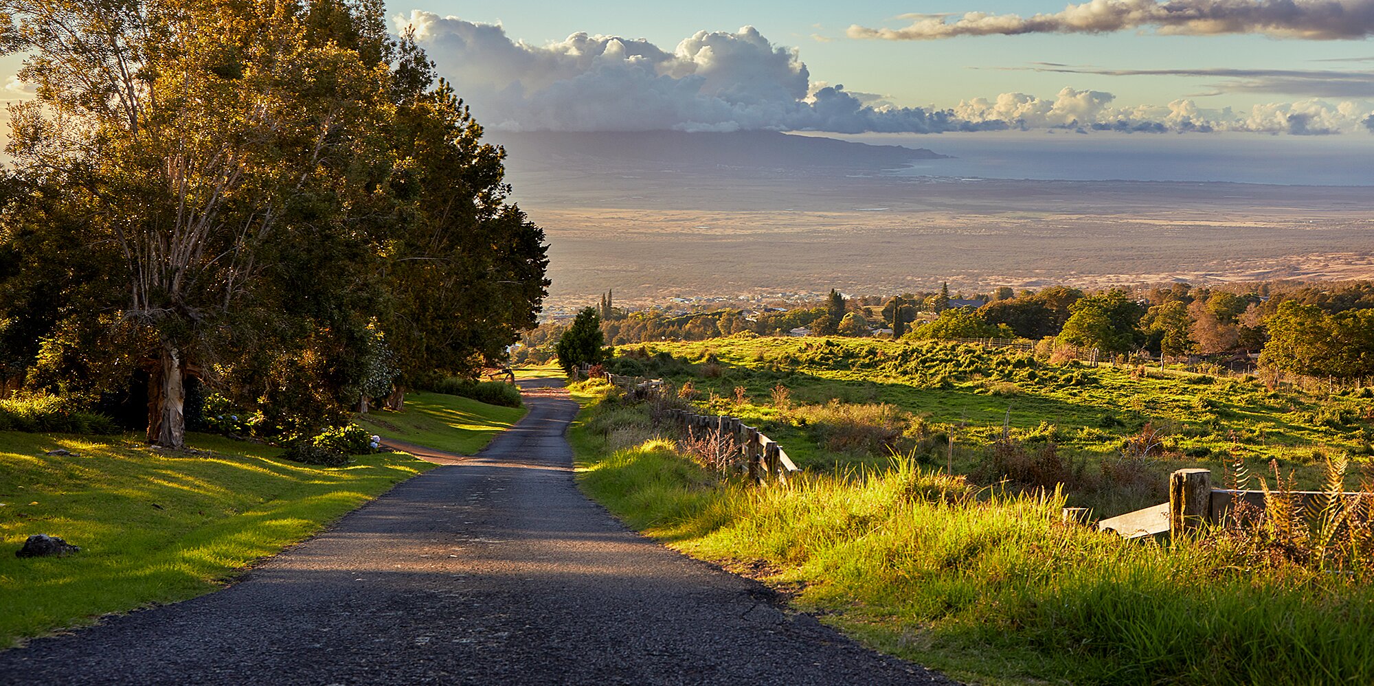 Maui Travel Guide | Food & Wine