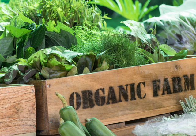 Organic food in France not always ‘better quality’ study finds