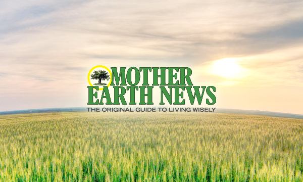 Pesticides and Home Canning - Mother Earth News