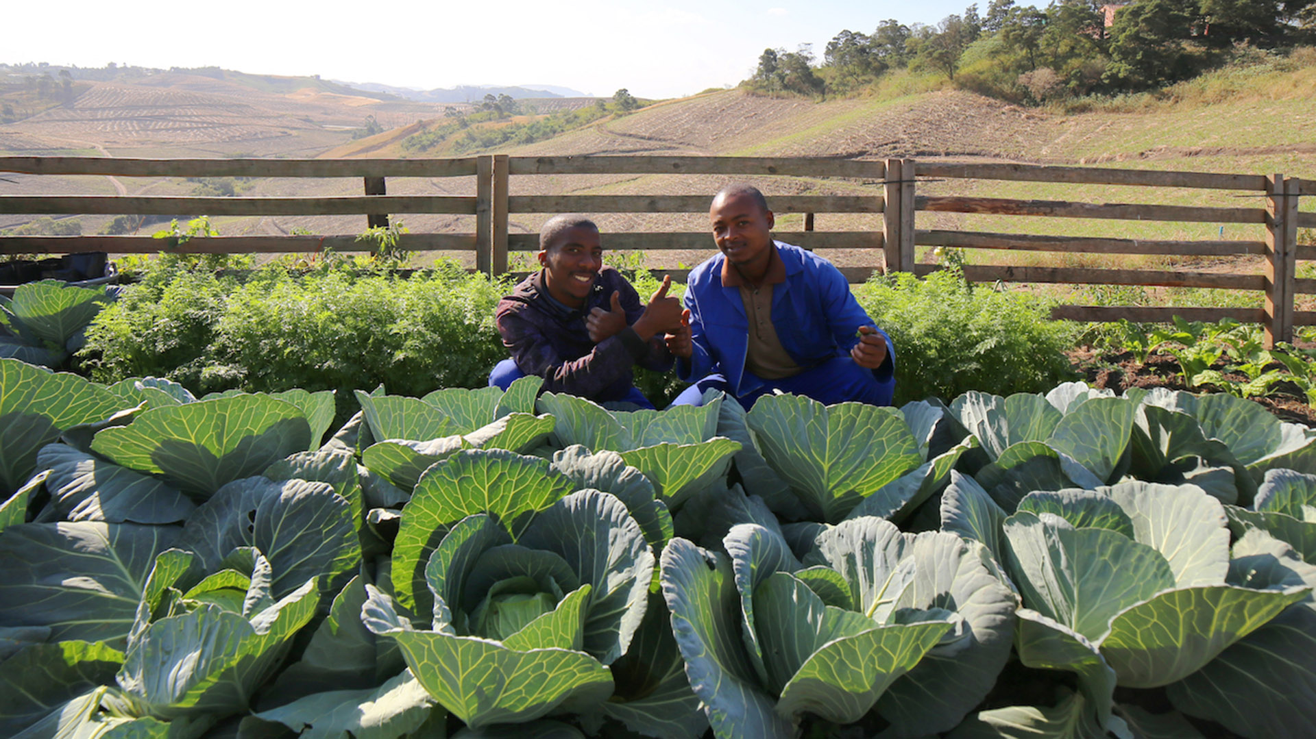 Thanda tackles malnutrition and uplifts farmers