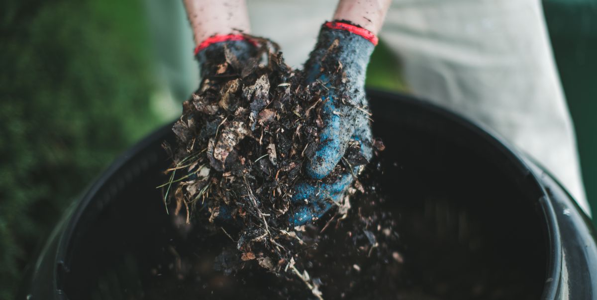 Your guide to buying a compost bin