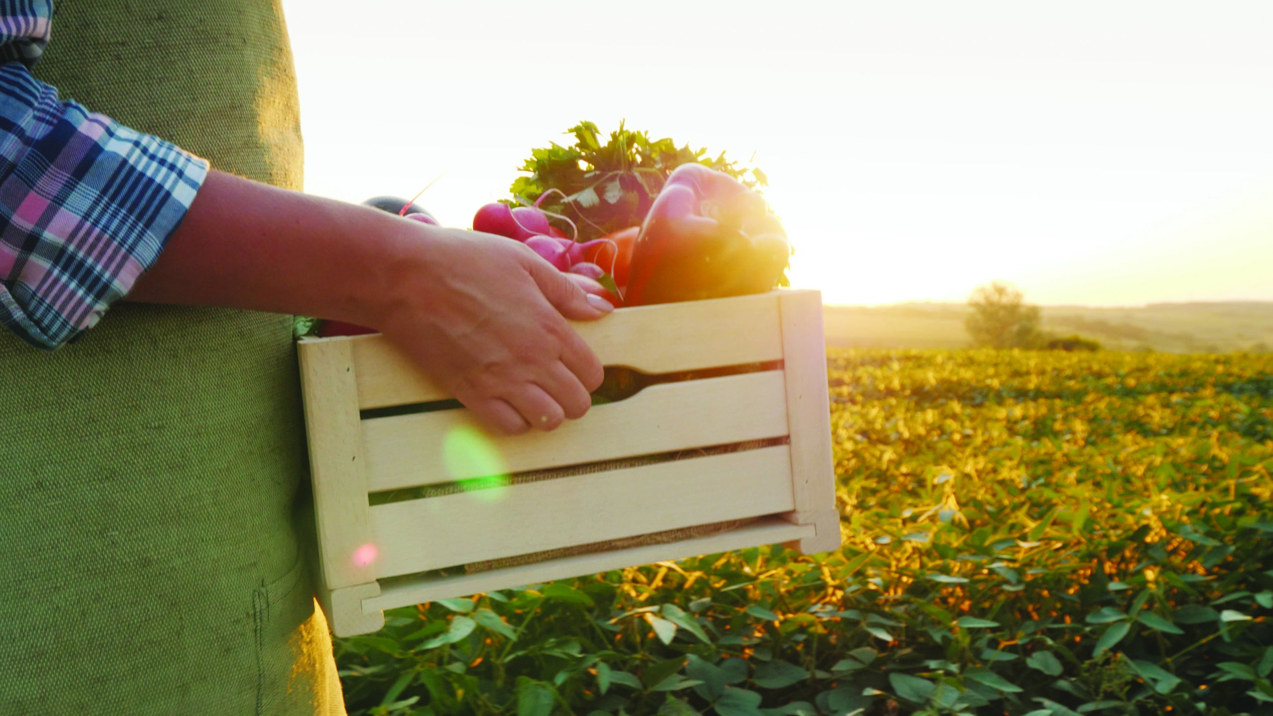 Central Coast farmers markets: your guide to shopping supermarket-free