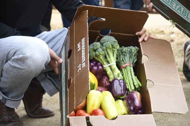 The Growing the Table pilot program has distributed about 11,000 boxes of locally grown organic produce to food-insecure families.