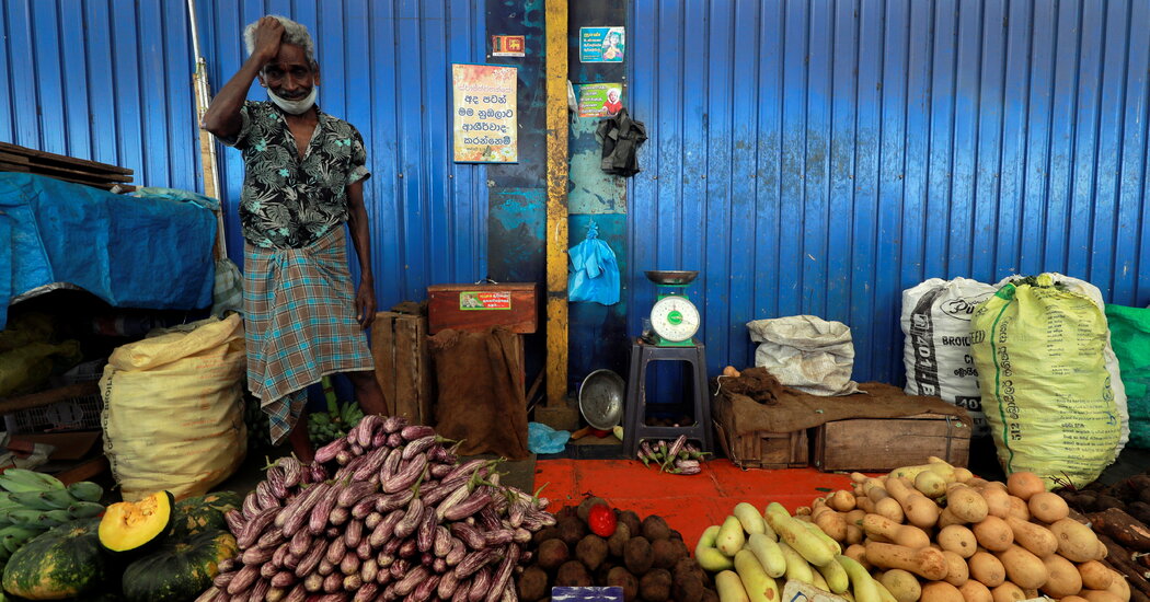 Sri Lanka’s Plunge Into Organic Farming Brings Disaster