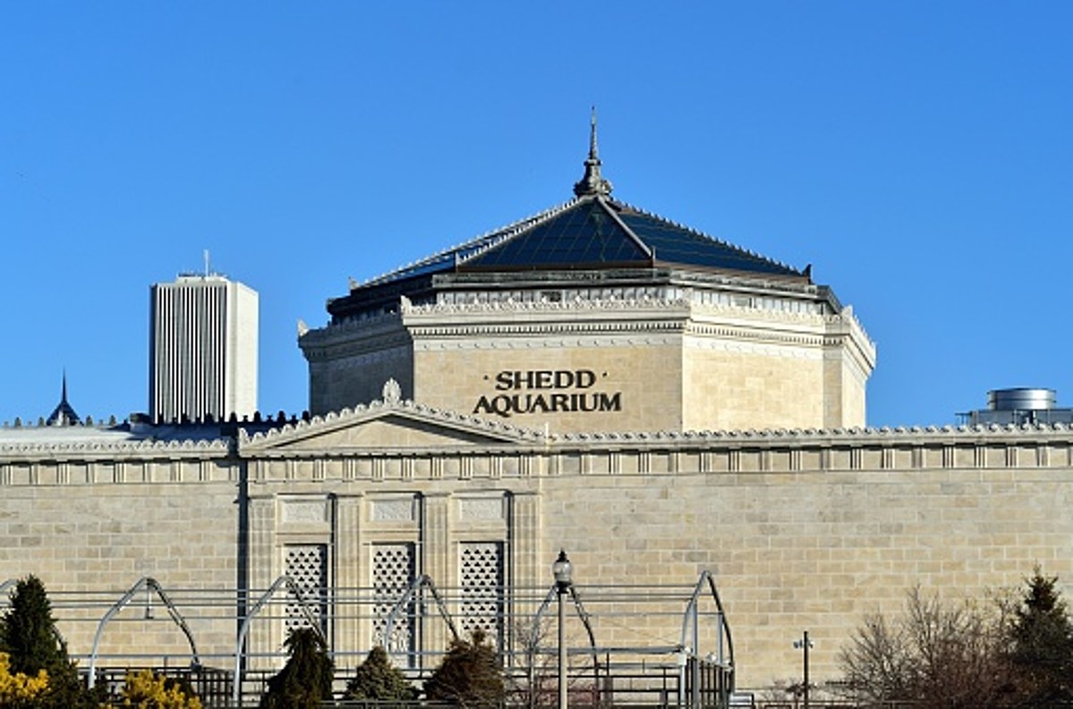 Chicago's Adler Planetarium Announces Free Admission Days