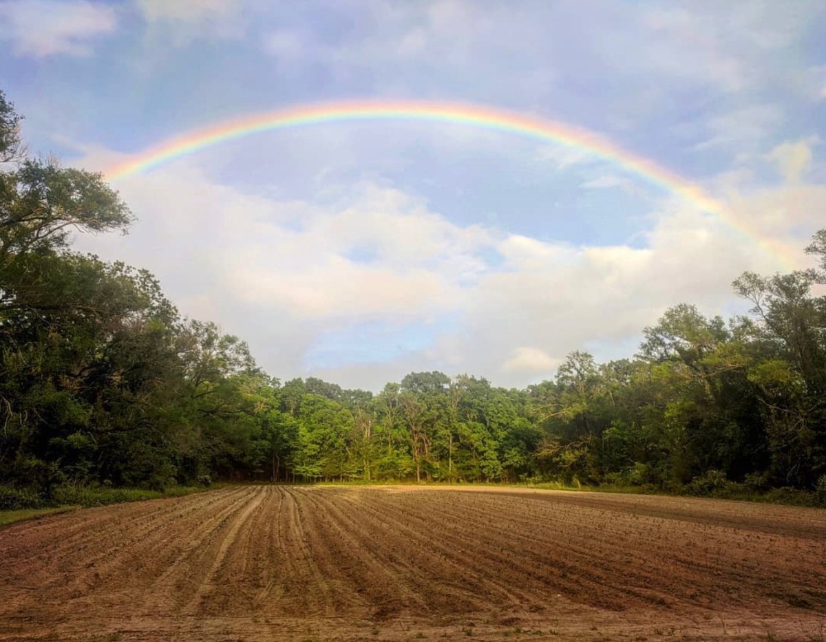 Experimental Farm Network’s Rare, Unique Produce Fights Climate Change – COOL HUNTING®