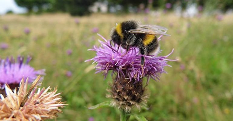 How to reduce your exposure to pesticides