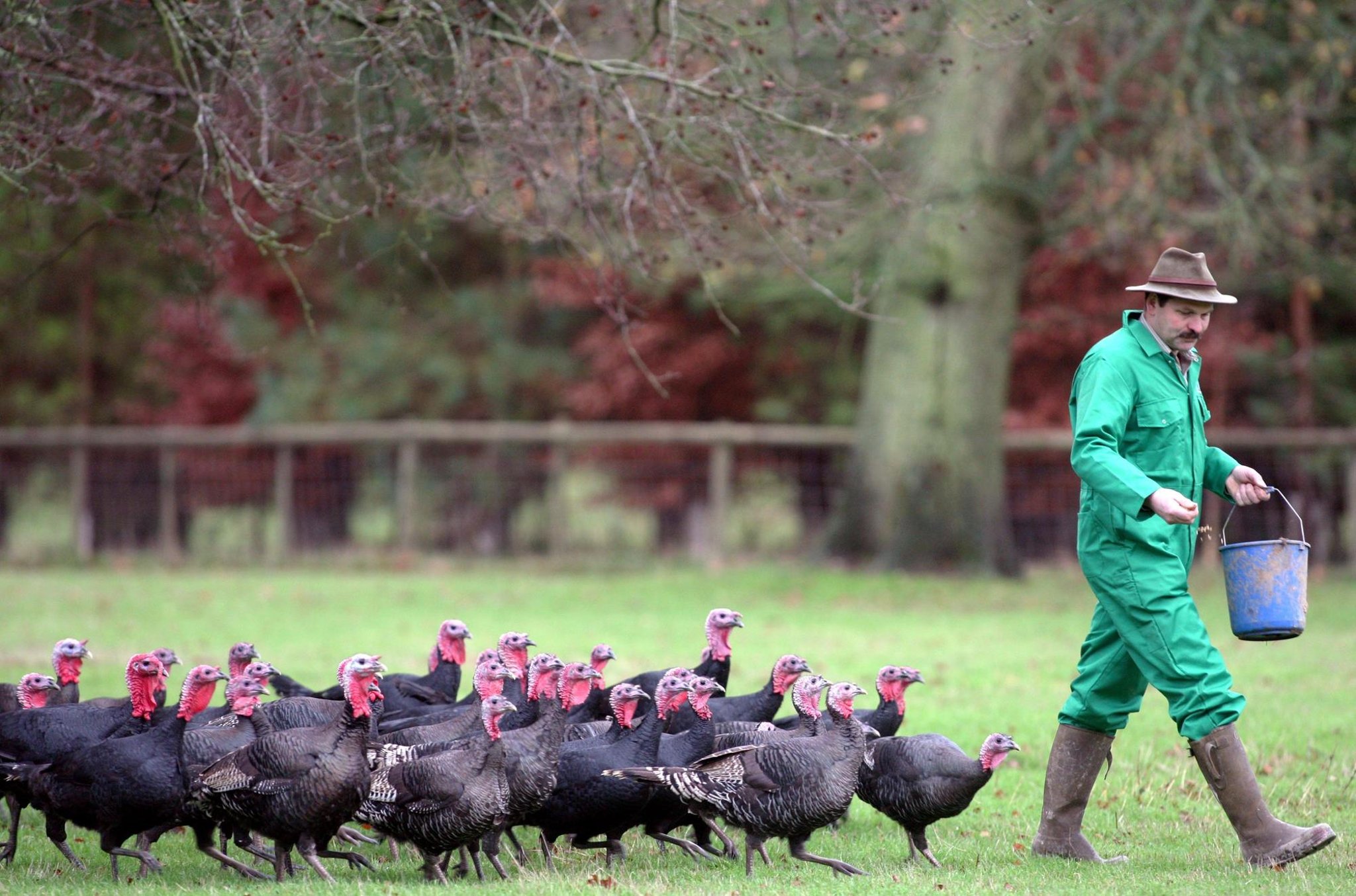 Organic farming in Scotland can go mainstream if we learn from Denmark – David McKay