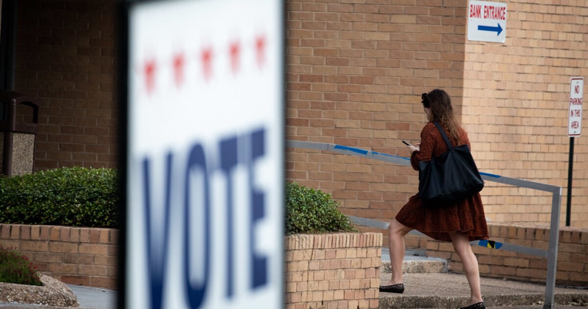 Texas voter guide for 2022 statewide primary elections