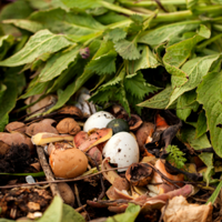 Beginner's guide to composting | Around The Web