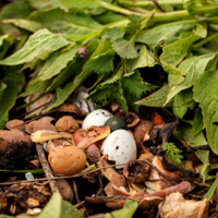 Beginner's guide to composting |