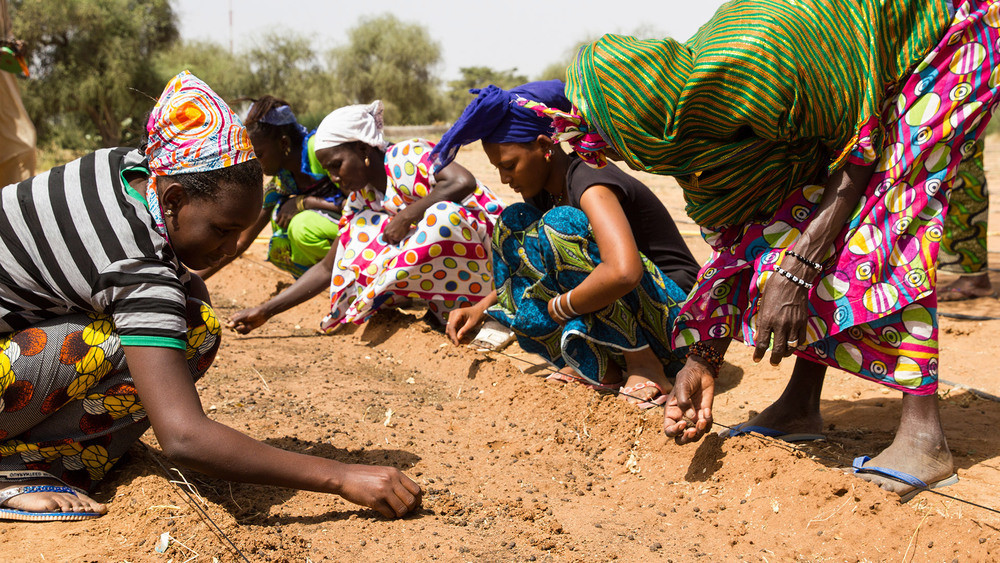 Ecopreneurs in Africa are restoring land and livelihoods