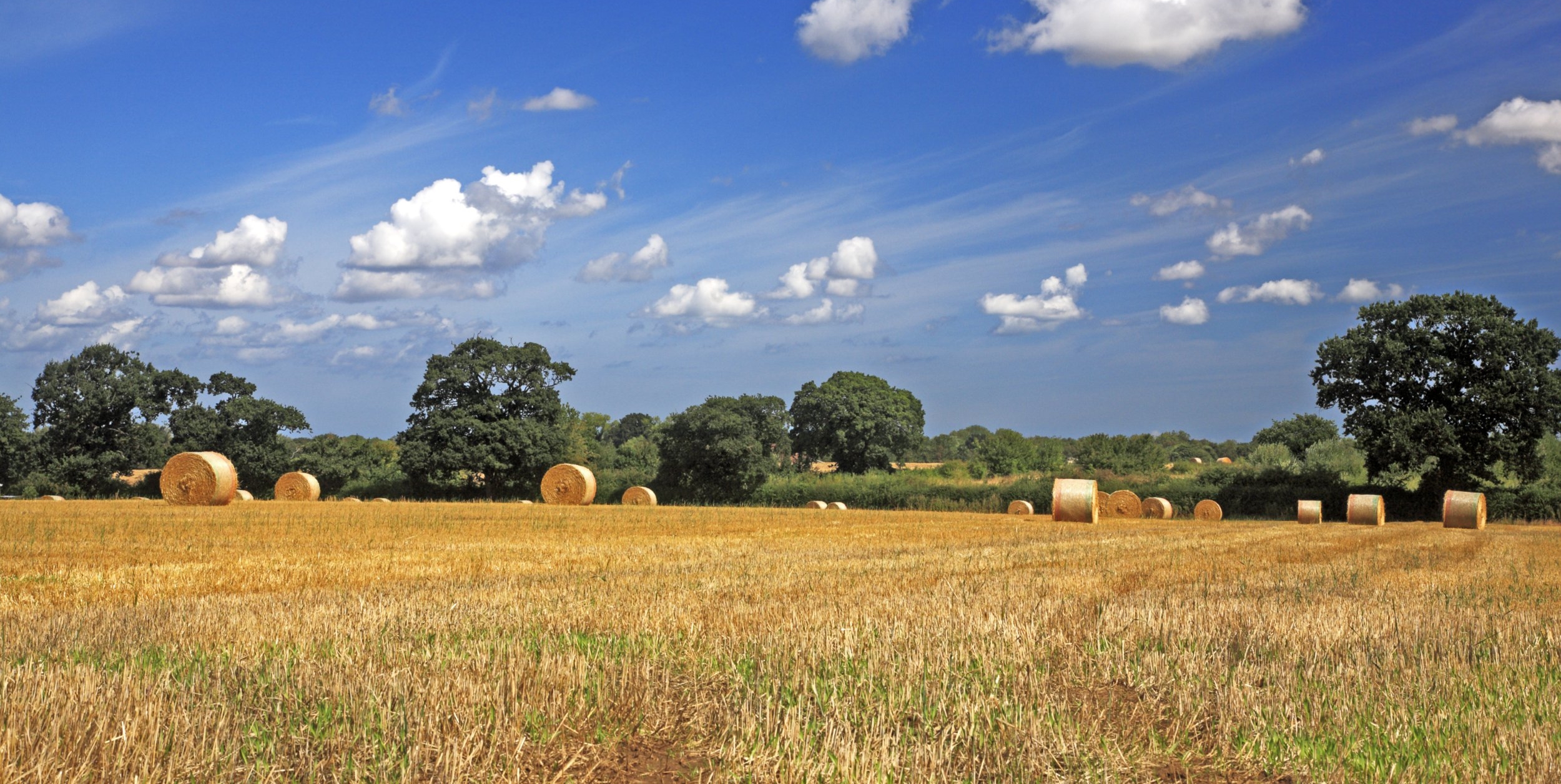 Farmers can double their money by going organic under plans to protect nature