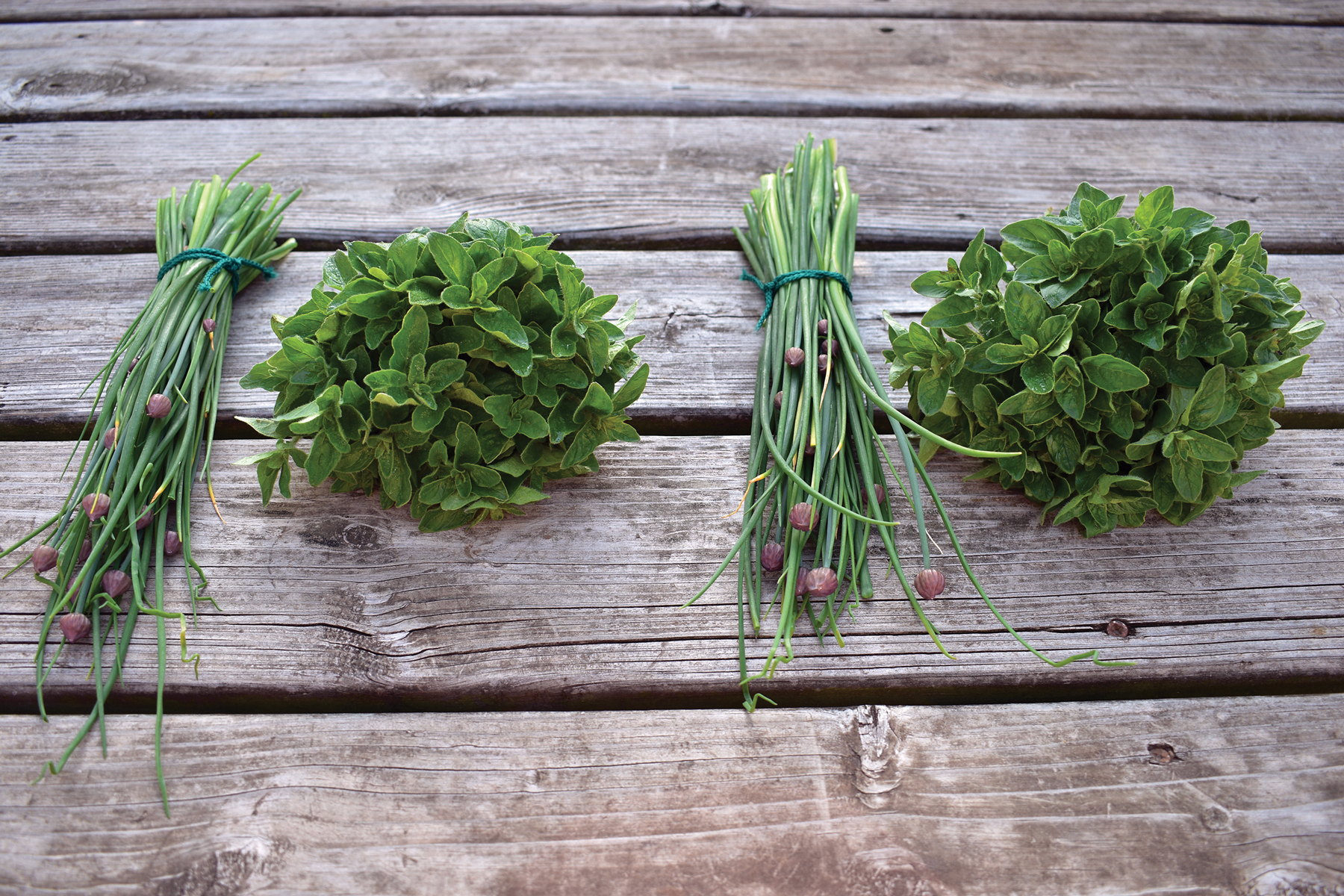 Healthiest Spices: Chives and Oregano – Mother Earth News