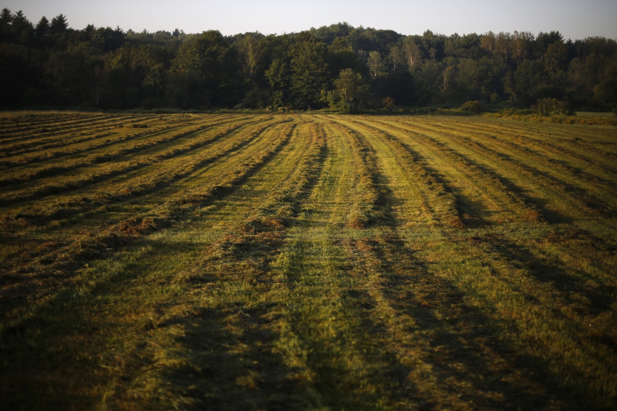 No one knows how many 'forever chemicals' could be in Maine's organic foods