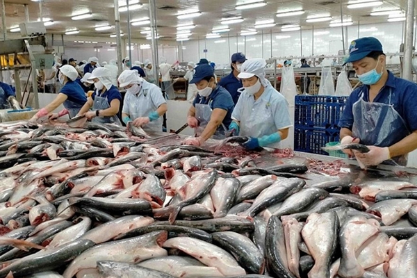 Aquatic exports saw a significant surge of 47.2 per cent to $1.5 billion in the first two months of this year. Photo vov.vn.