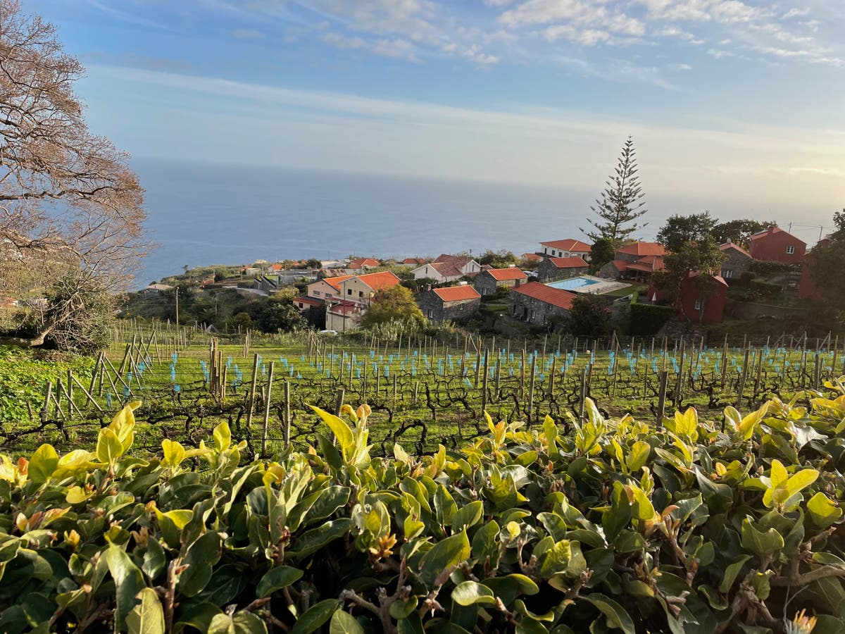 Going to ground: Embracing the agro-tourism life in Madeira